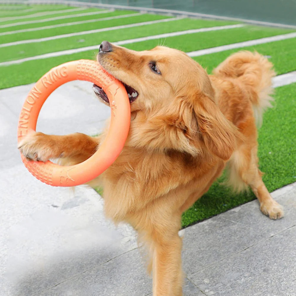 Durable Dog Training Ring – Floats on Water
